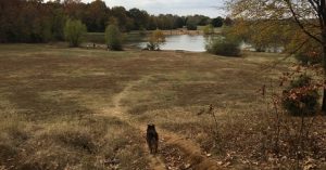 The outback at Shelby Park