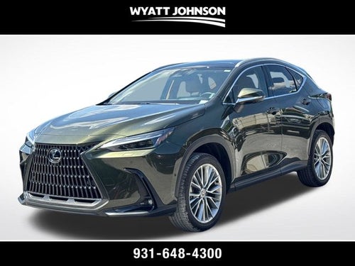 2025 Lexus NX 350 Luxury