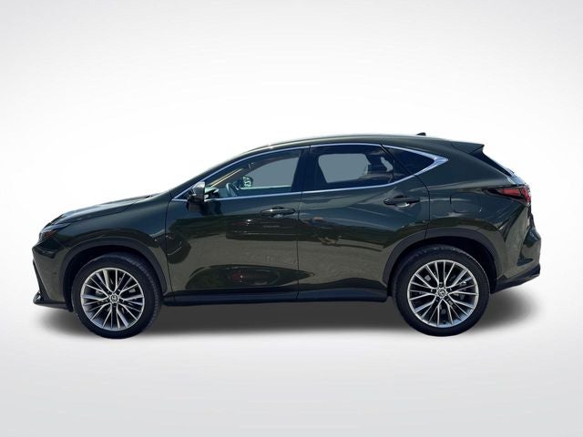 2025 Lexus NX 350 Luxury