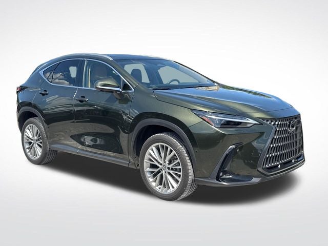 2025 Lexus NX 350 Luxury