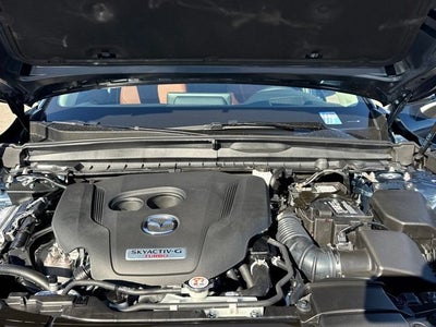 2026 Mazda Mazda CX-50 2.5 Turbo Premium Plus AWD