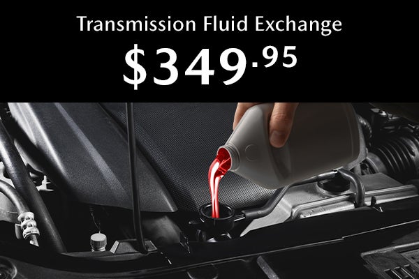 Transmission Fluid Exchange